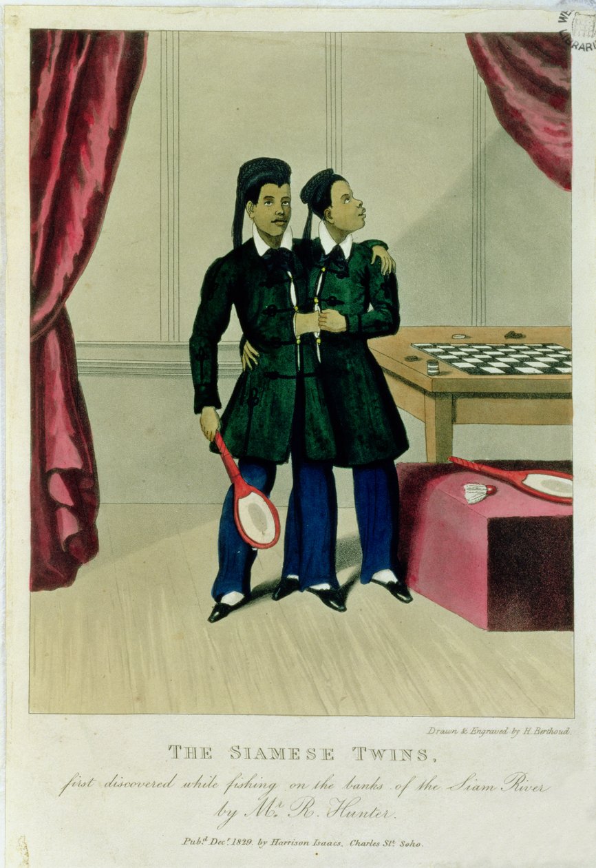 Siyam İkizleri, İlk Olarak Siam Nehri Kıyısında Balık Tutarken Bay R. Hunter Tarafından Keşfedildi, 1829 by Henry Berthoud