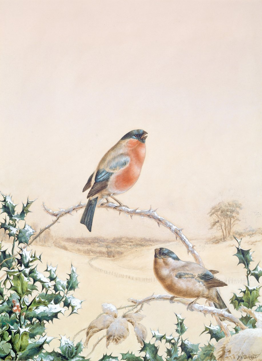Chaffinch ve Holly ile kış sahnesi by Henry Bright