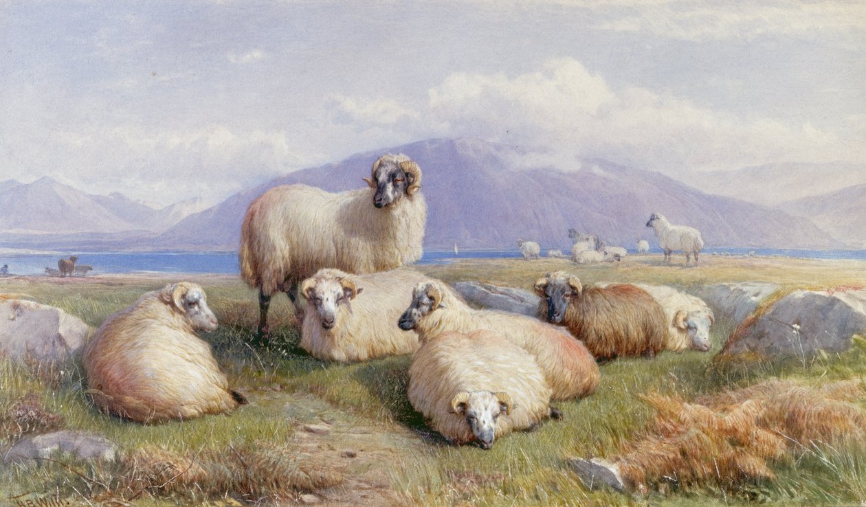 Yaylaların Kalbinde by Henry Brittan Willis