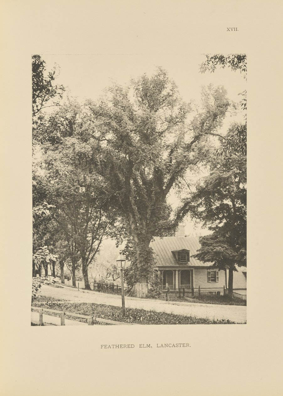  by Henry Brooks