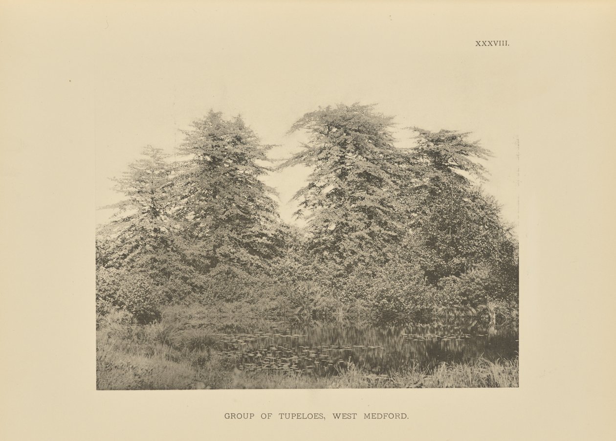  by Henry Brooks