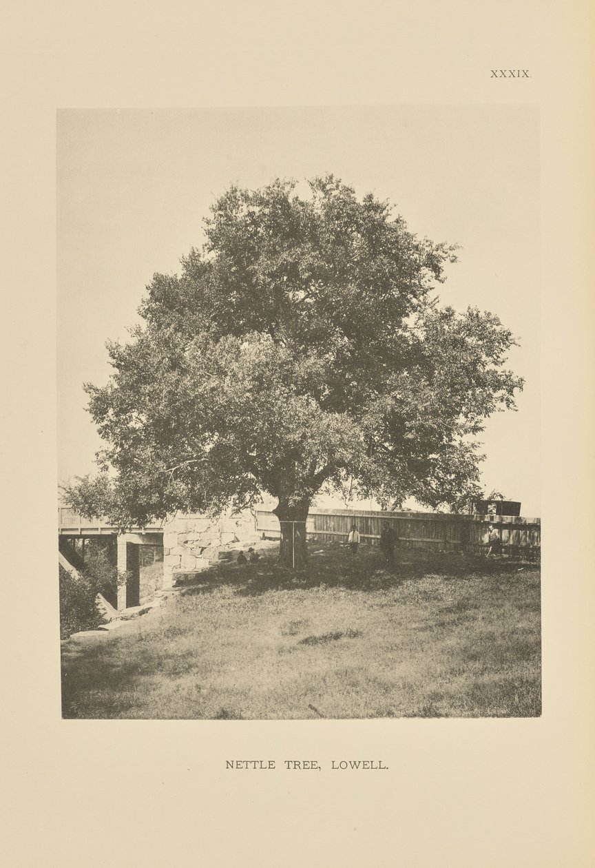  by Henry Brooks