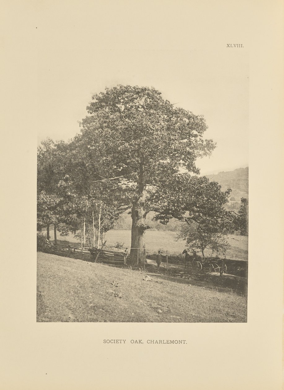  by Henry Brooks
