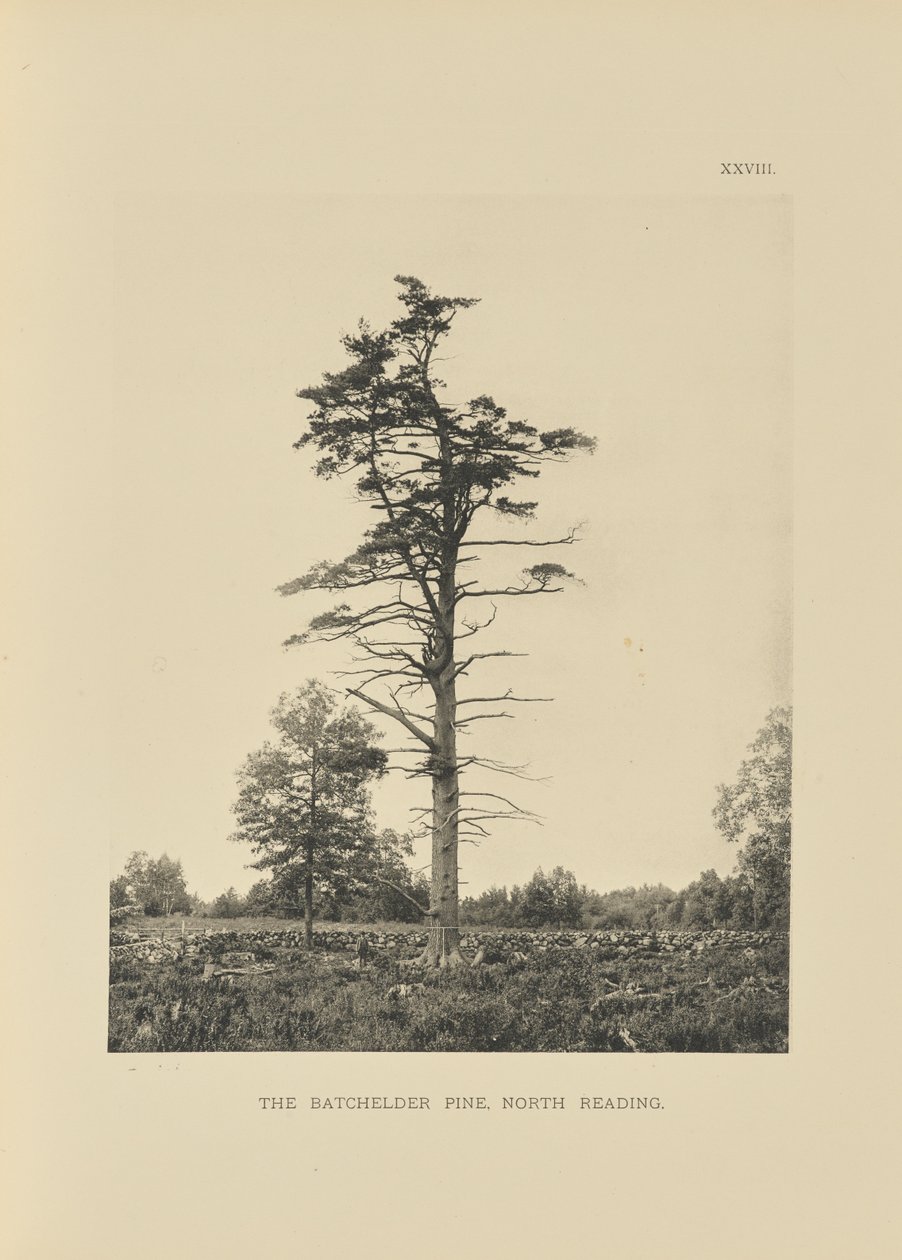  by Henry Brooks