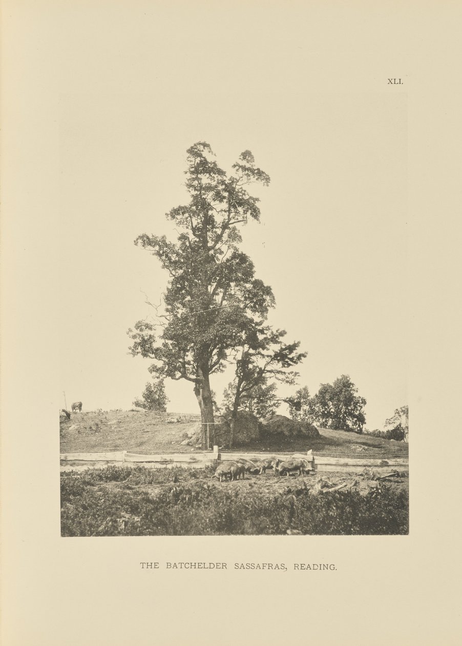  by Henry Brooks