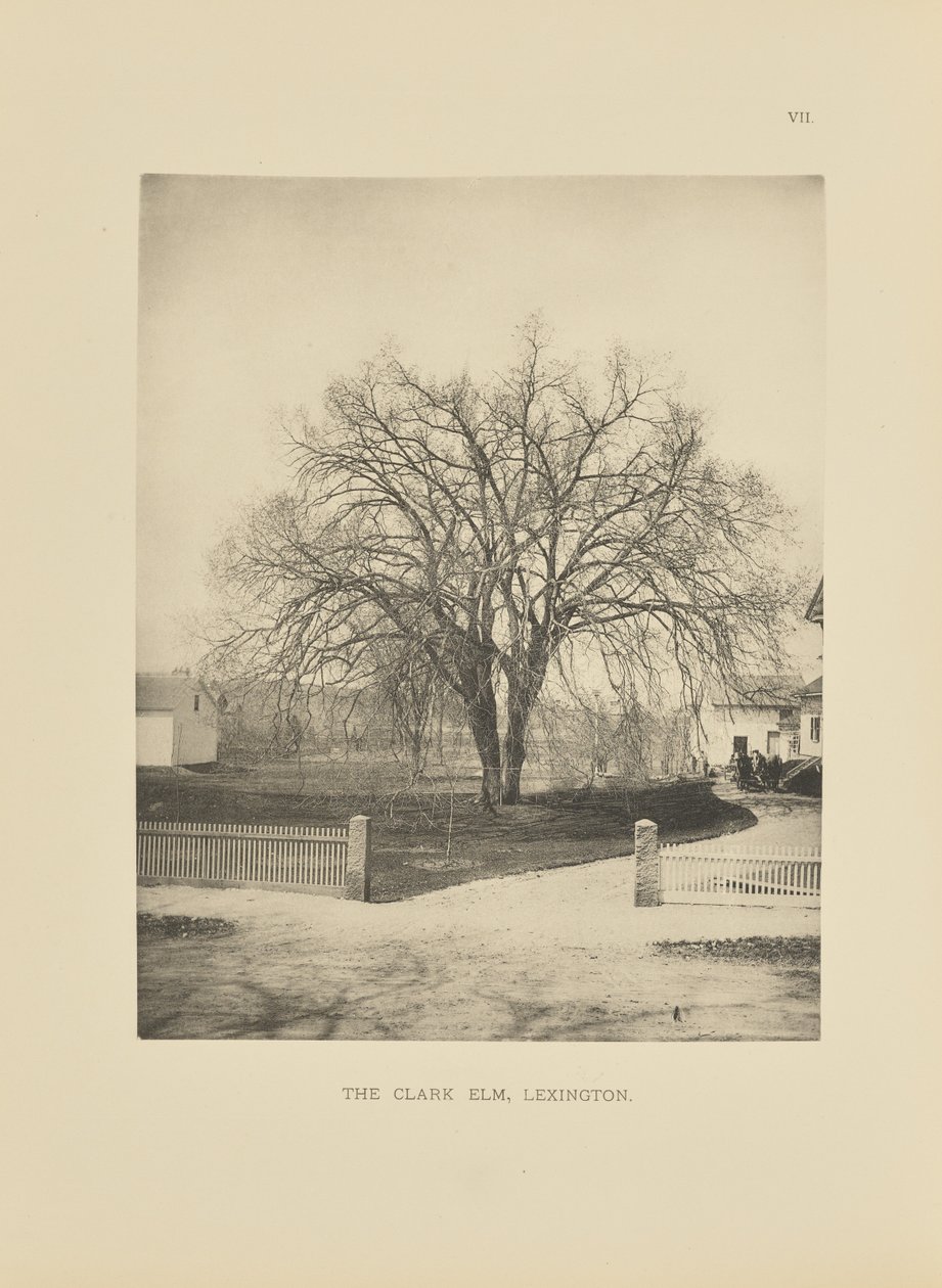 by Henry Brooks