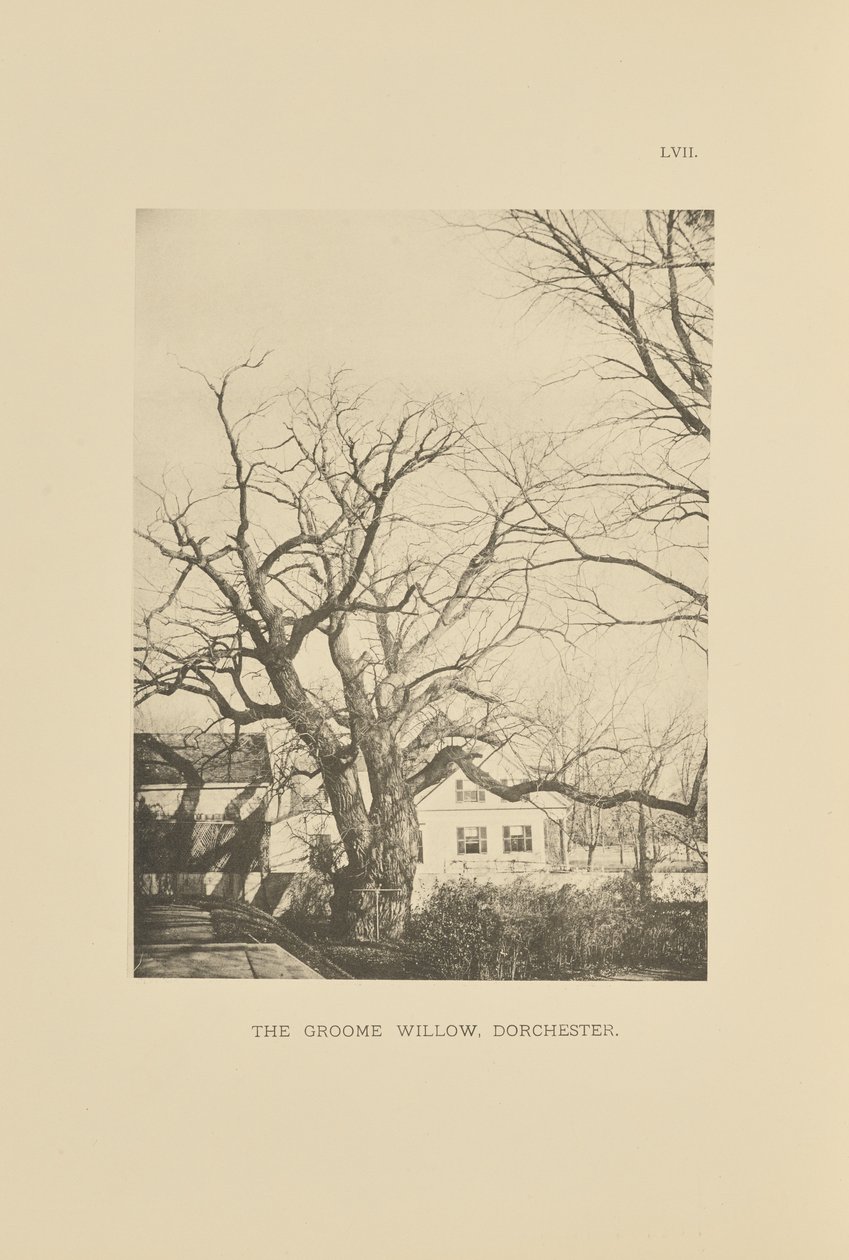  by Henry Brooks