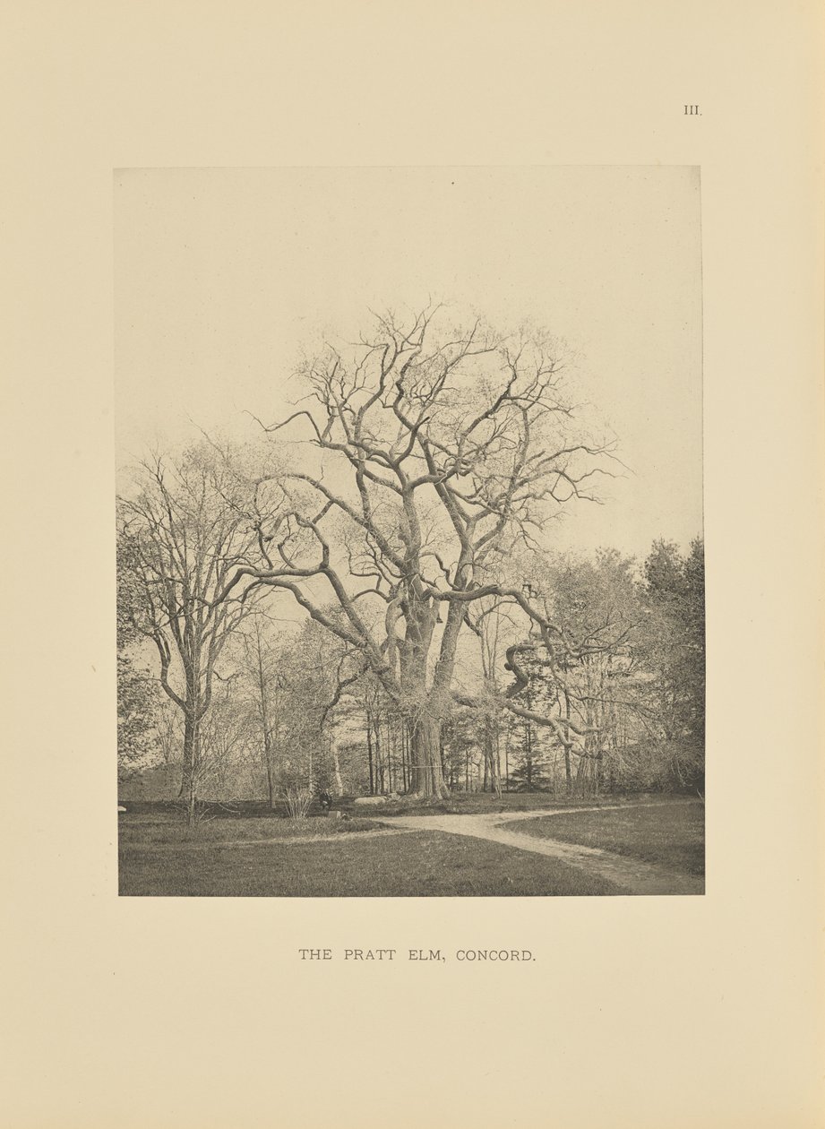  by Henry Brooks
