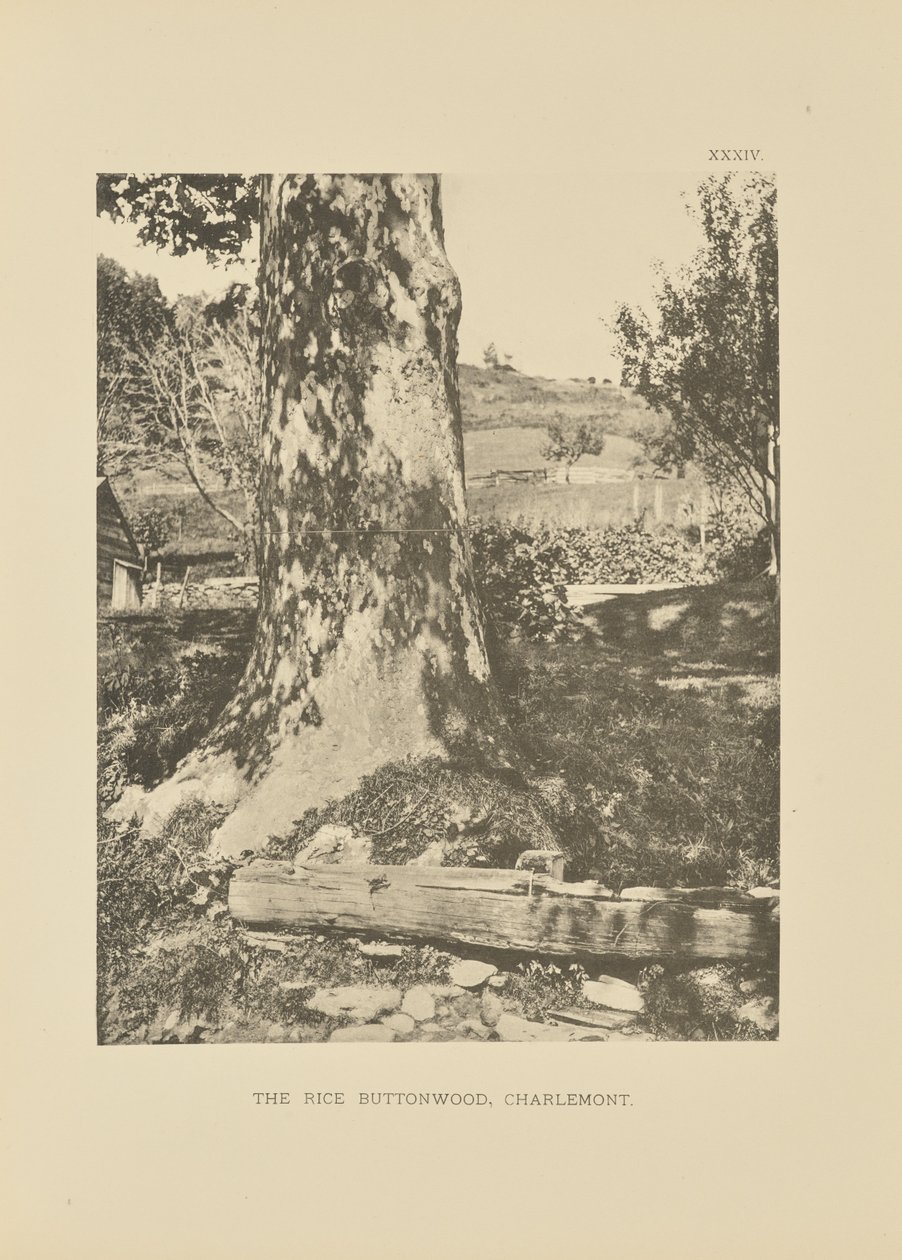  by Henry Brooks