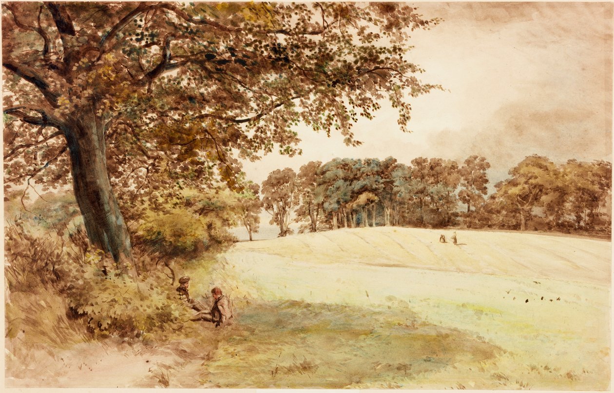 Benwell Tepesi (gövde rengi) by Henry Burdon Richardson