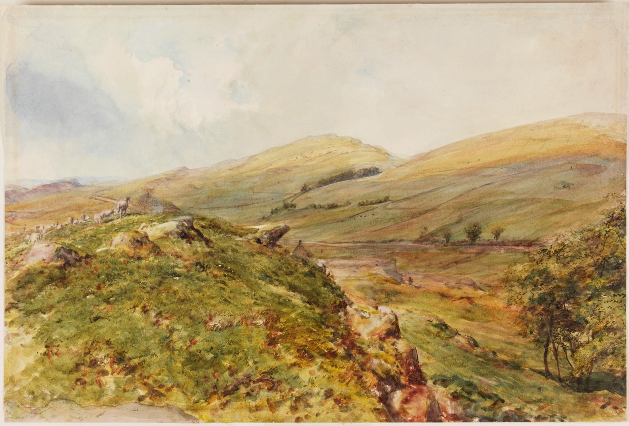 Cockmount Tepesi (gövde rengi) by Henry Burdon Richardson