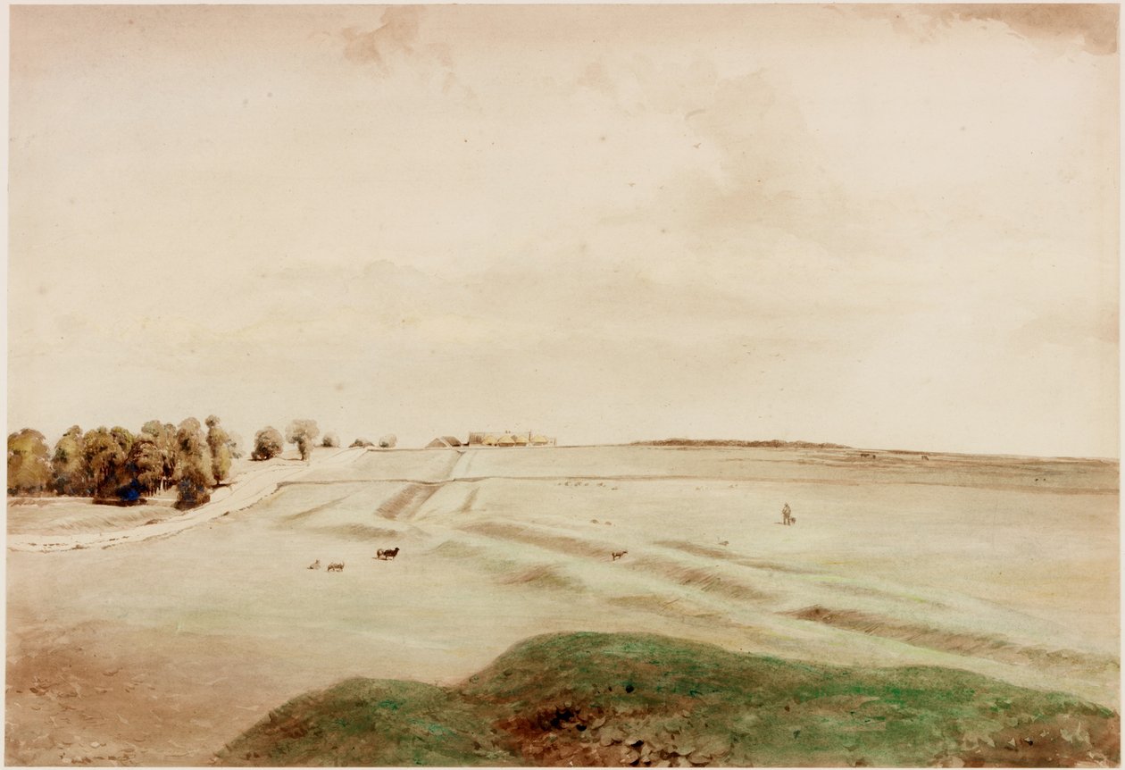 Down Hill, Northumberland (gövde rengi) by Henry Burdon Richardson