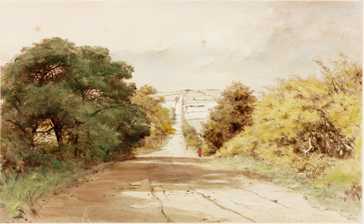 Harlow Tepesi (gövde rengi) by Henry Burdon Richardson