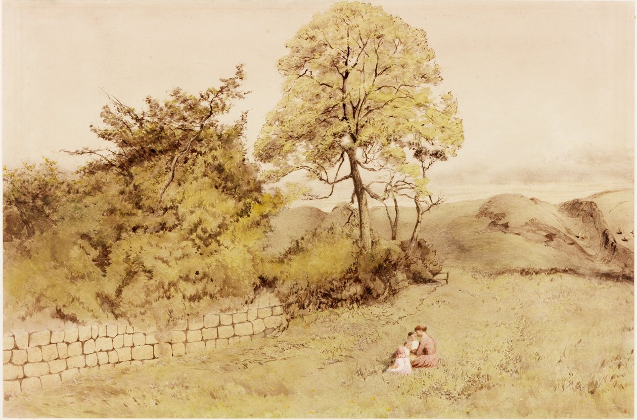 Duvarda Heddon (gövde rengi) by Henry Burdon Richardson