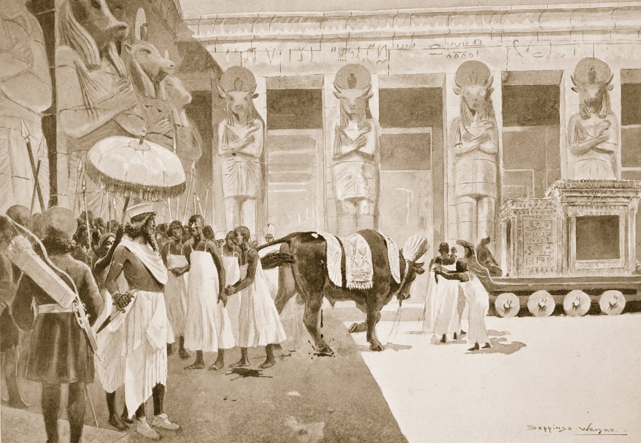 Cambyses Kutsal Boğa