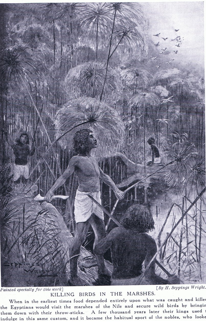 Bataklıklarda kuş öldürmek, 1920 dolayları by Henry Charles Seppings Wright
