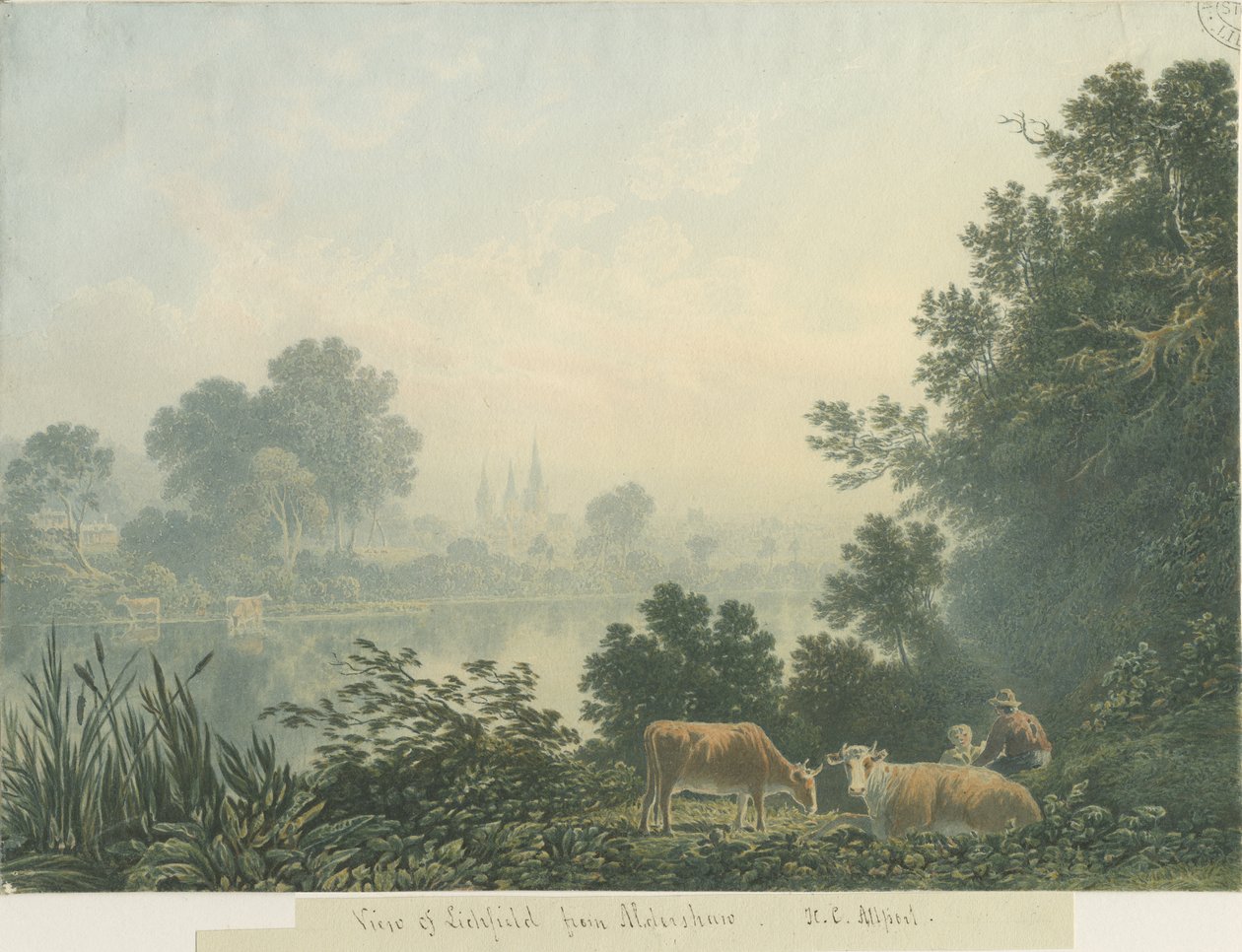 Lichfield Katedrali - Aldershaw