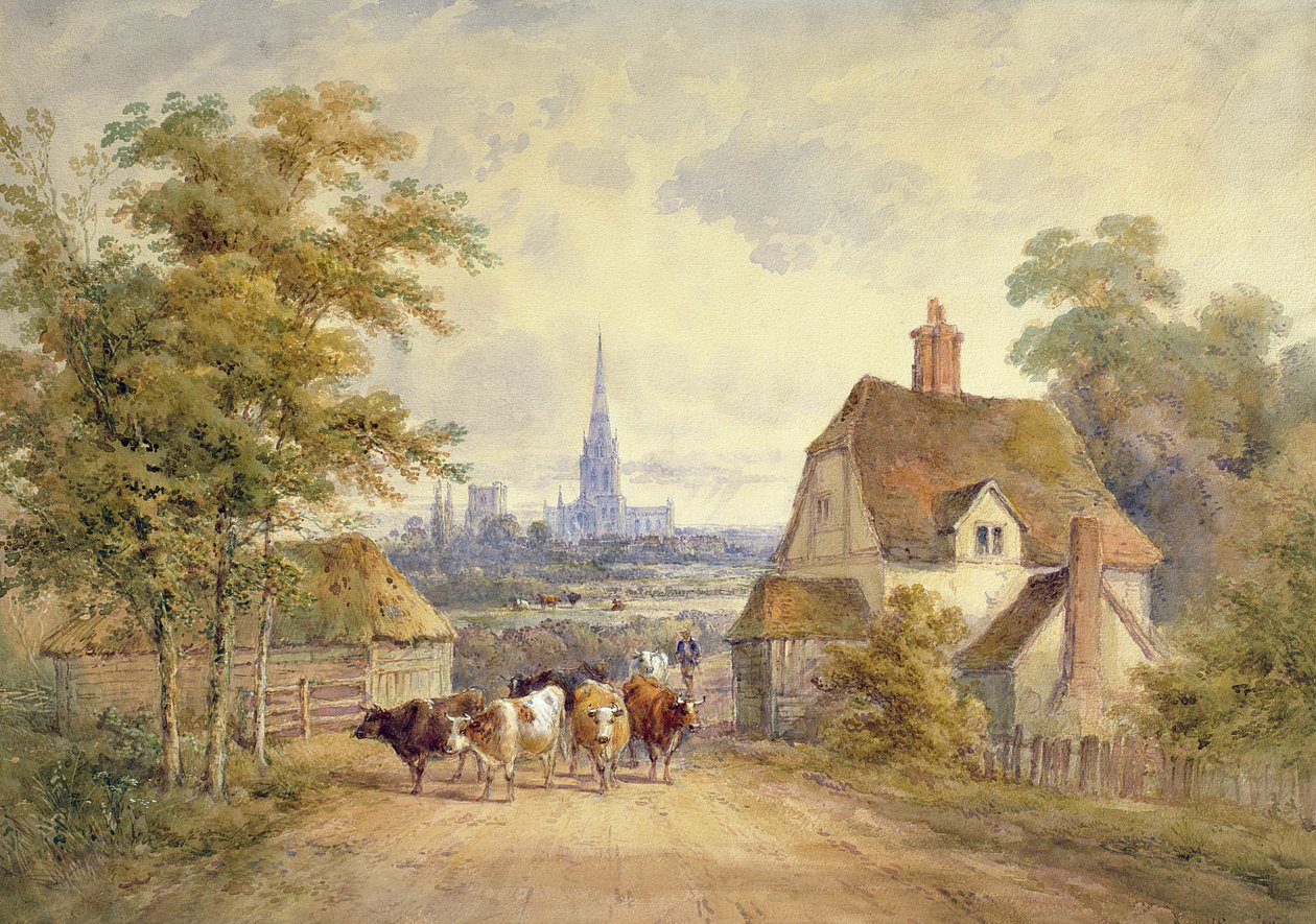 Chichester Katedrali, Sussex by Henry Earp