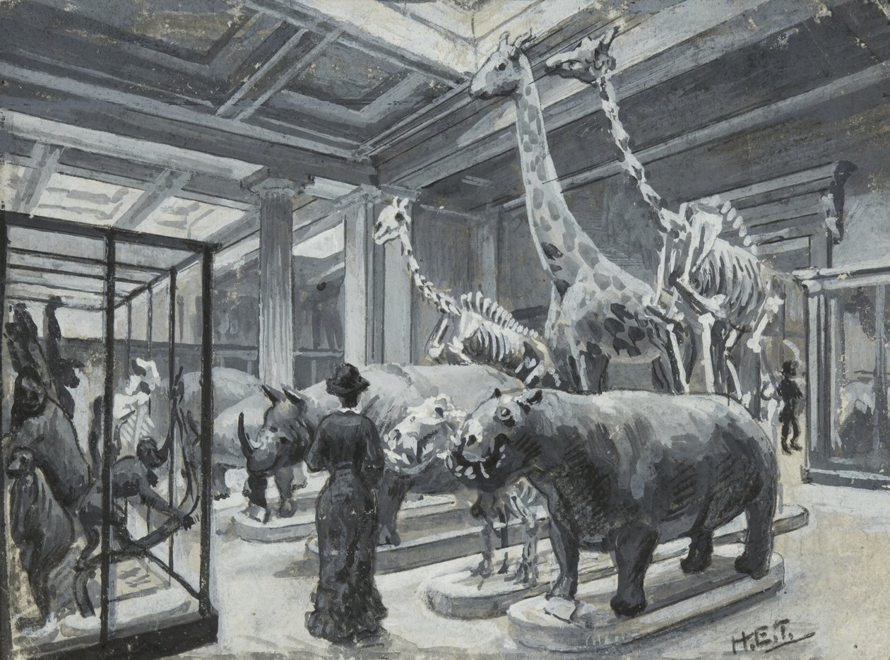 Hayvan sergileri içeren galeriyi gösteren British Museum