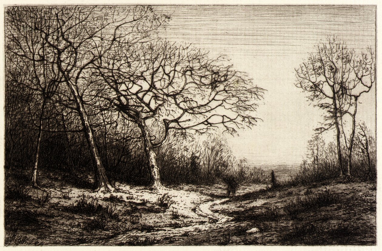  by Henry Farrer