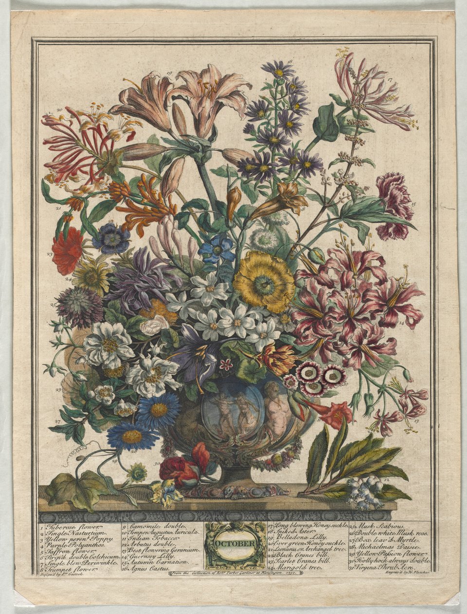 On İki Aylık Çiçekler: Ekim, 1730. by Henry Fletcher