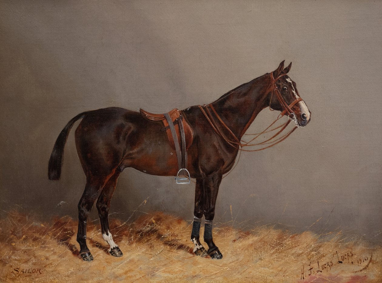 Denizci by Henry Frederick Lucas Lucas