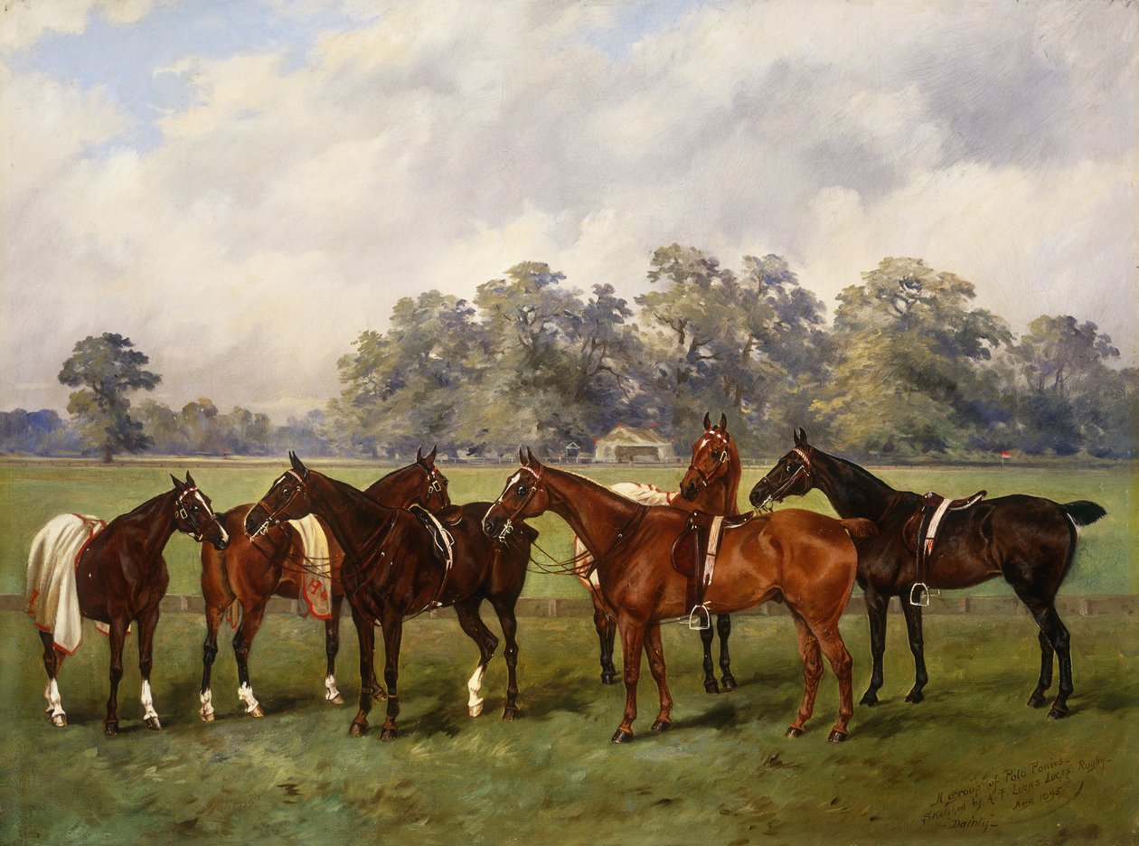 Bir Grup Polo Pony, Dainty, Gold, Redskin, Miss Edge ve Piper, Sir Humphrey de Trafford