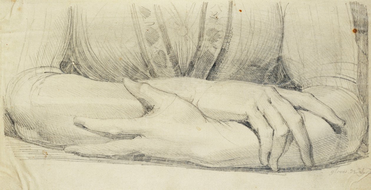 Bir Kadının Eldivenli Kollarının İncelenmesi, 1798 by Johann Heinrich Füssli