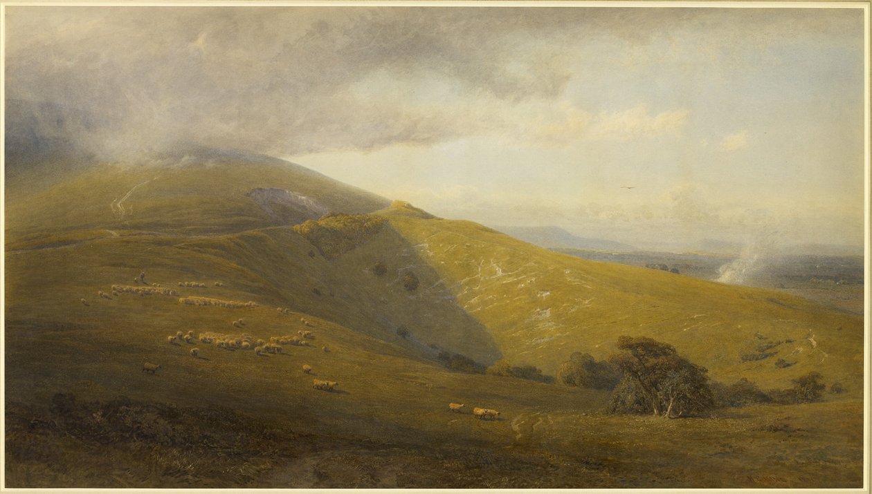 South Downs