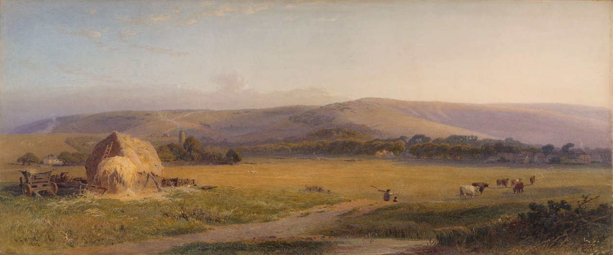 South Downs Meraları, 1867 by Henry George Hine