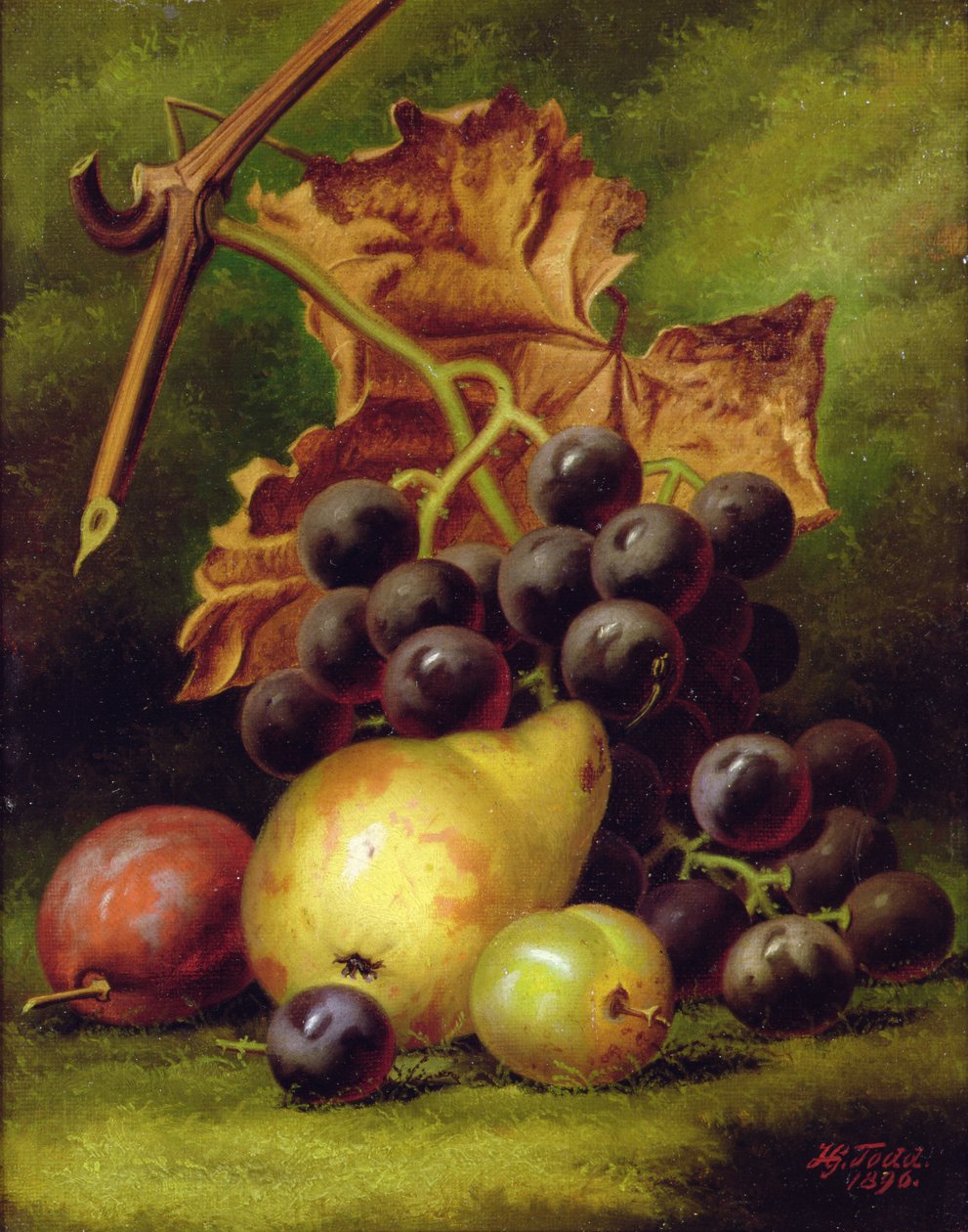 Natürmort by Henry George Todd