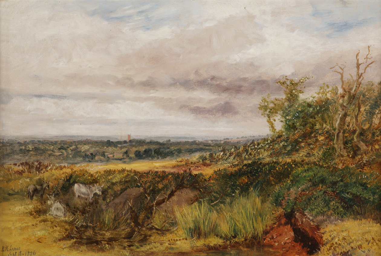 Manzara, 1856 by Henry Harris Lines