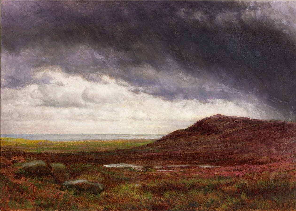 Moorland (kağıt üzerine gövde rengi ve sulu boya) by Henry Hetherington Emmerson
