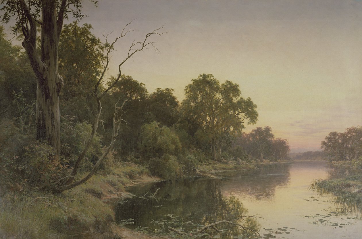 Murray Nehri