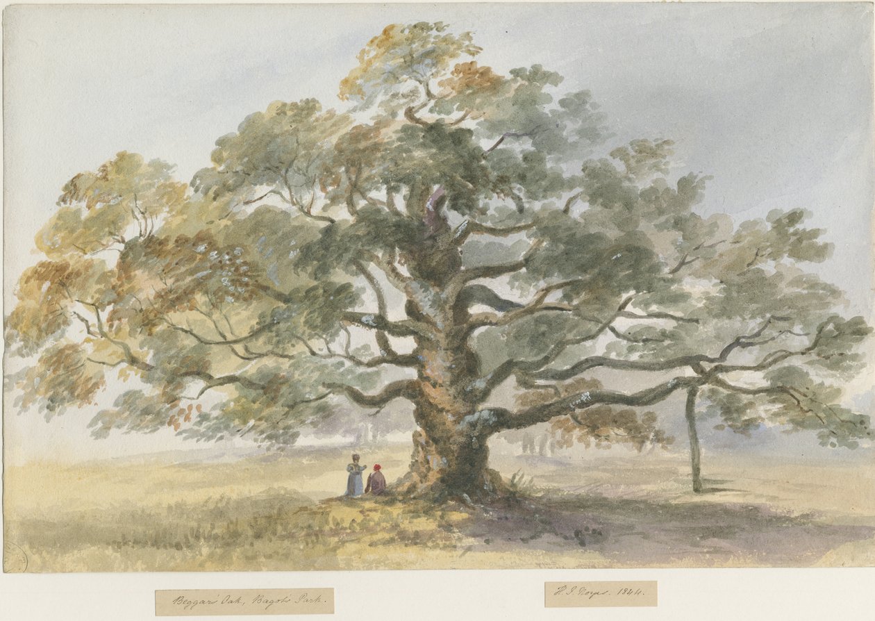 Blithfield - Dilenci Meşesi : sulu boya boyama, 1844 by Henry James Noyes
