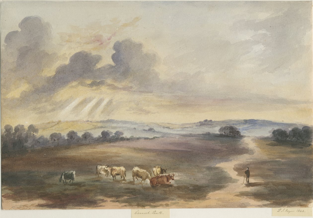 Cannock Chase - "Heath": sulu boya boyama, 1844 by Henry James Noyes