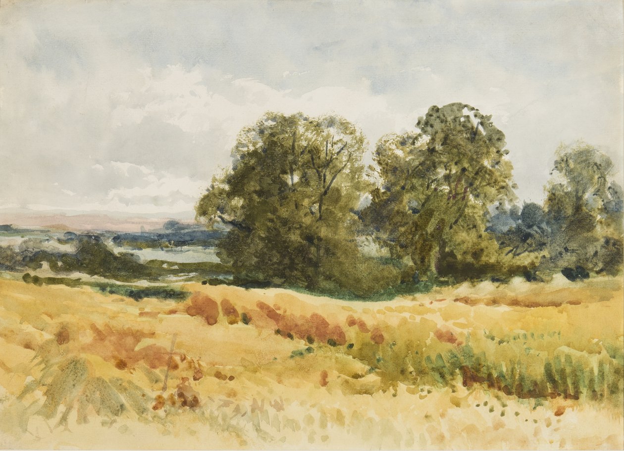 Hasat alanı, c.1910 (kağıt üzerine sulu boya) by Henry John Sylvester Stannard