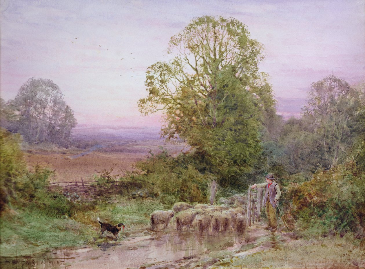 Koyun gütmek (suluboya) by Henry John Sylvester Stannard