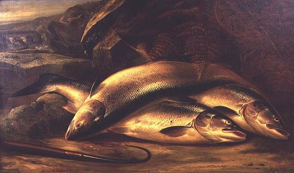 Natürmort Somon by Henry Leonidas Rolfe
