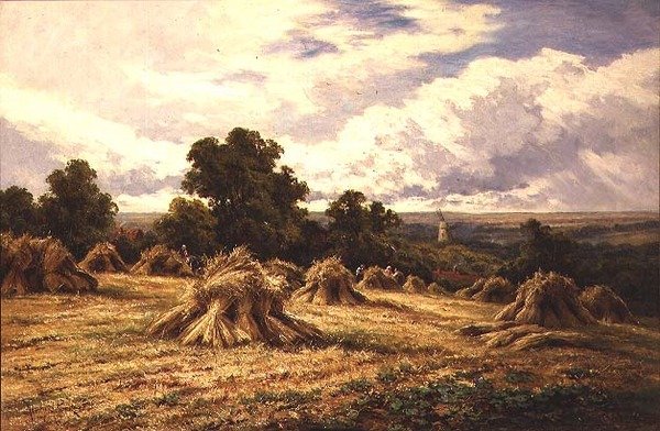 Hasat Tarlası by Henry Parker