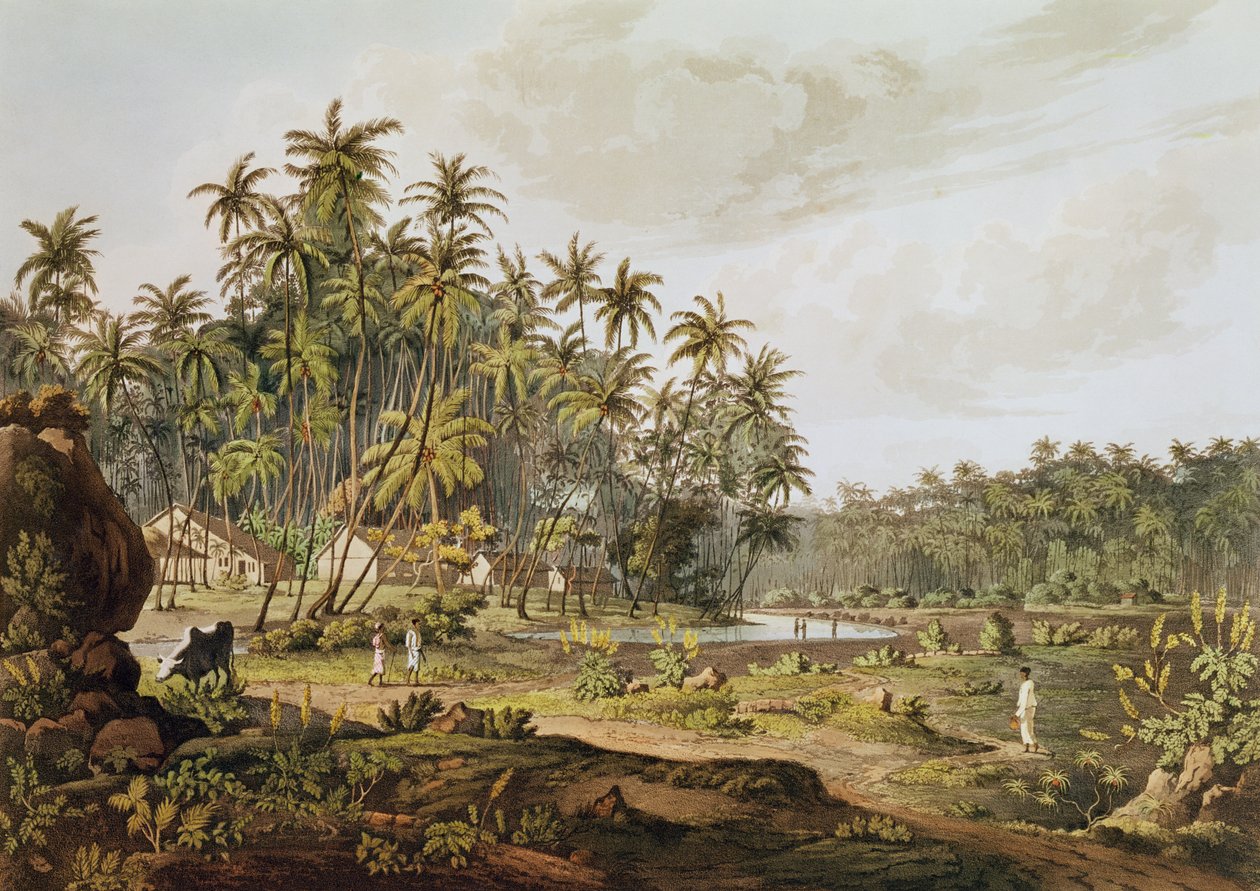 1809 yılında yayınlanan Daniel Havell (1785-1826) tarafından oyulmuş Point du Galle, Seylan, yakın görünümü by Henry Salt