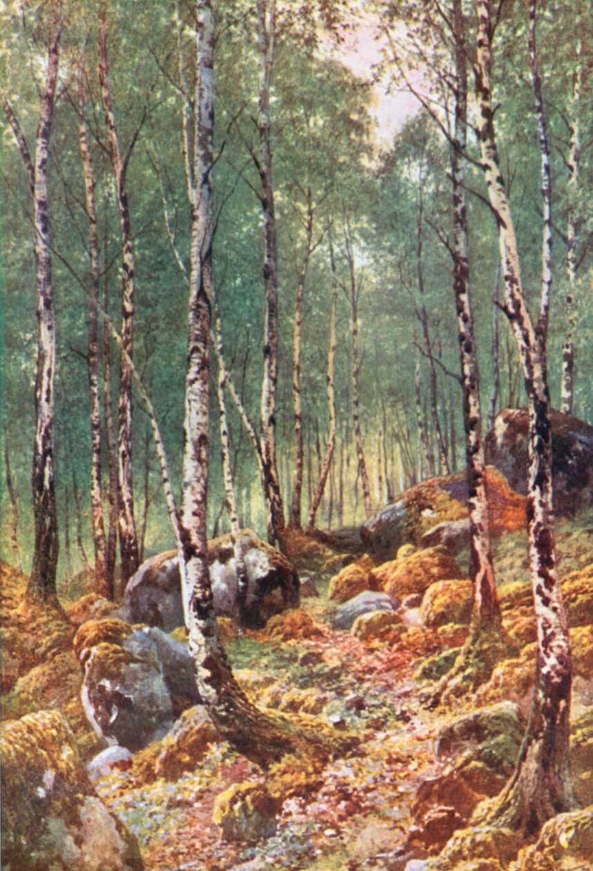  by Henry Sutton Palmer