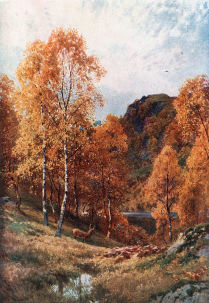 Altın Sonbahar, Trossachs, Perthshire (renkli lito) by Henry Sutton Palmer