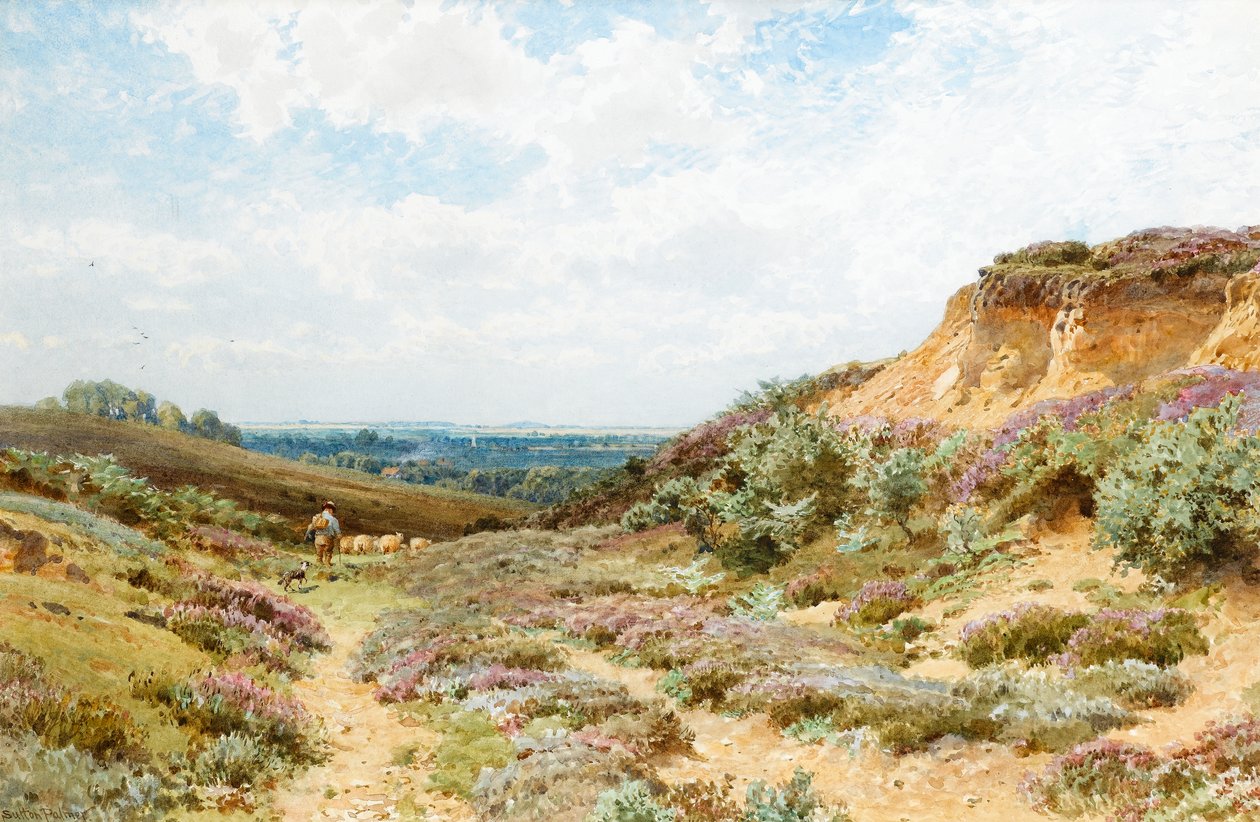 Surrey Heath üzerinde Heather (kağıt üzerinde wc) by Henry Sutton Palmer