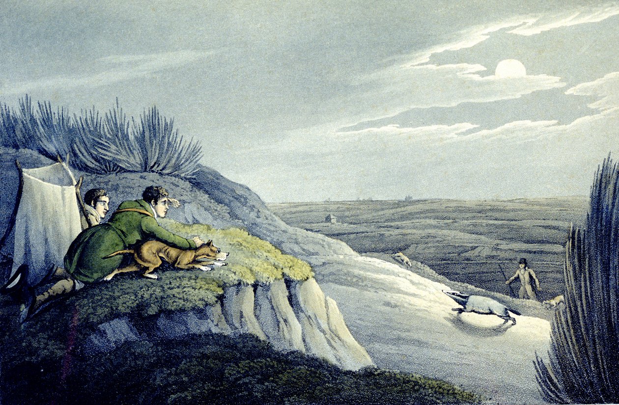 Büyük Britanya Ulusal Sporlarından Porsuk Yakalama, J.H. Clarke by Henry Thomas (after) Alken