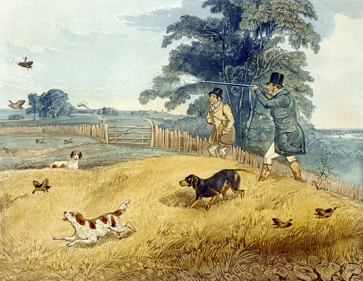 Flushing Birds, Joseph Clayton Bentley (1809-51) 1835 (renkli gravür) tarafından oyulmuş 