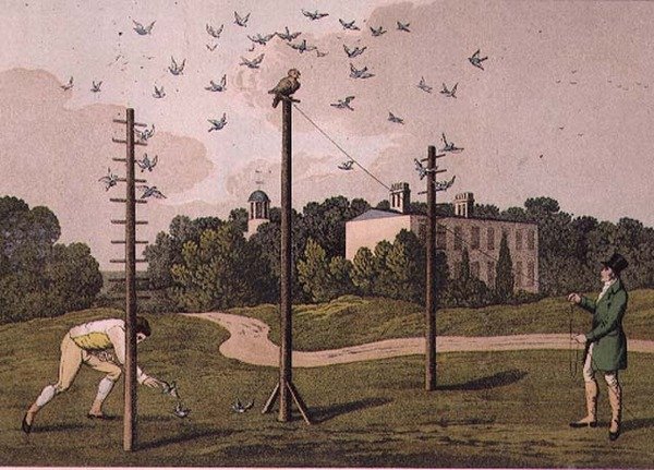 Baykuş, I. Clark tarafından oyulmuş, pub. T. McLean, Londra by Henry Thomas (after) Alken