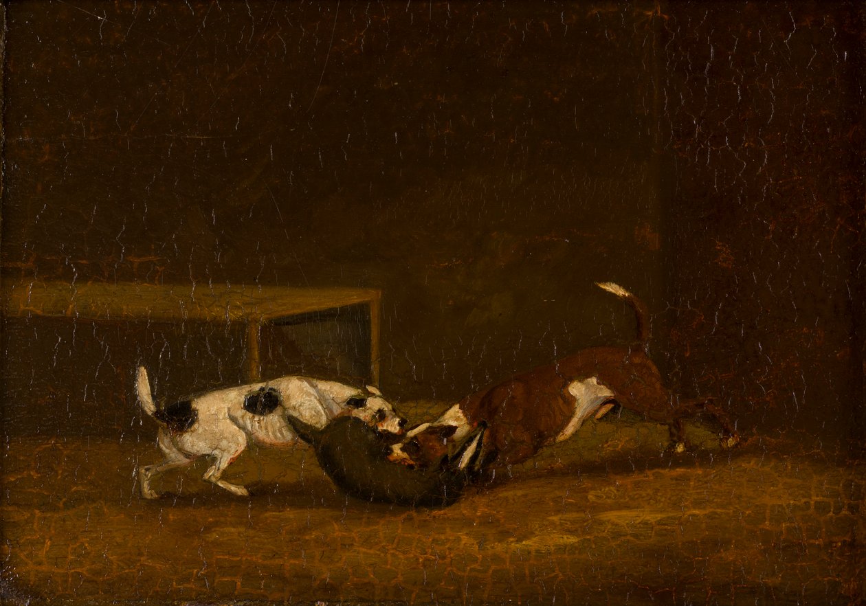 İki Teriyer Porsuk Yemi, c.1805-51 (panelde yağ) by Henry Thomas (follower of) Alken
