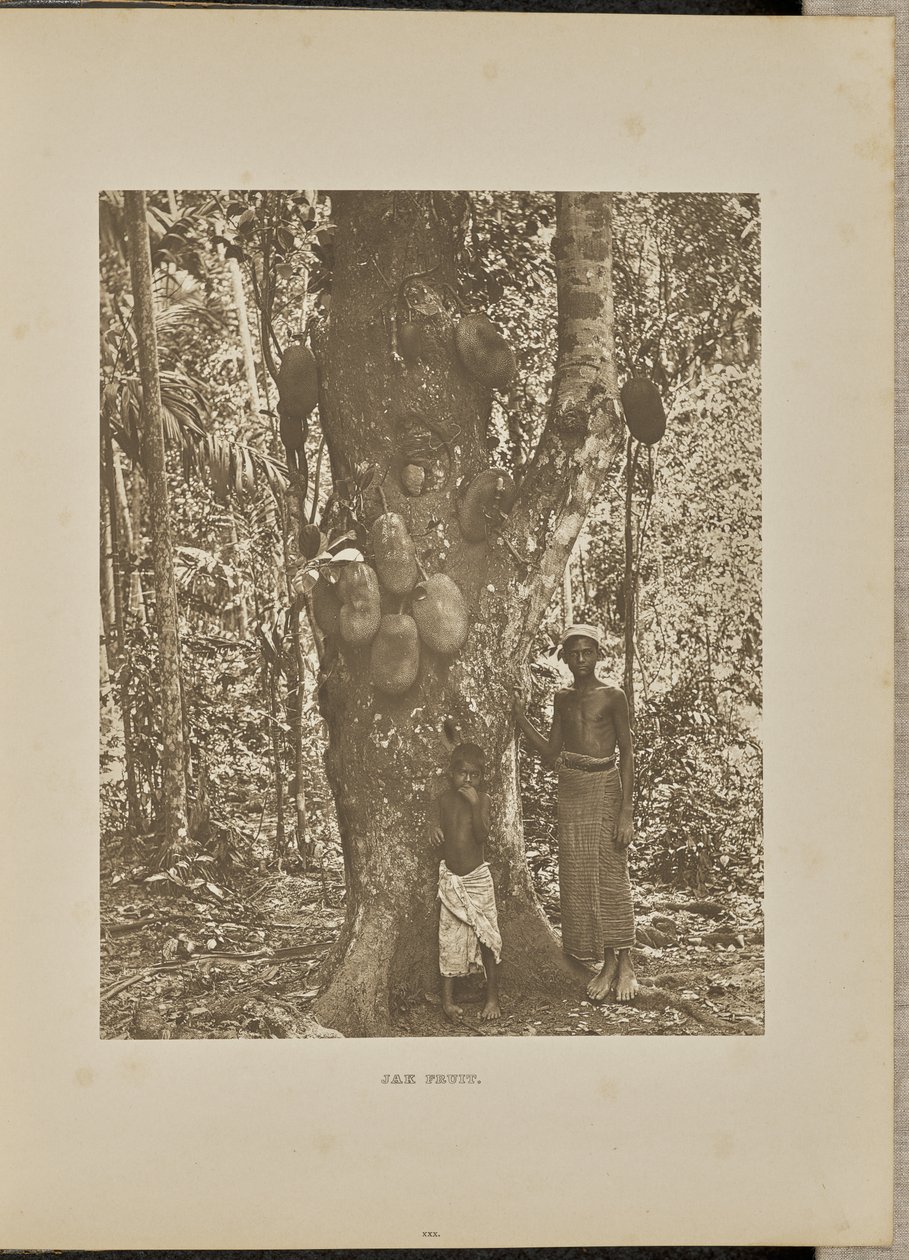  by Henry W. Cave