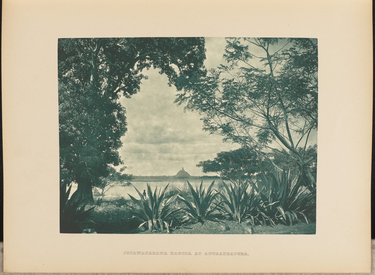  by Henry W. Cave